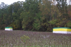 cotton-bale